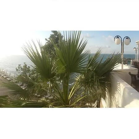 Hotel Diapolis